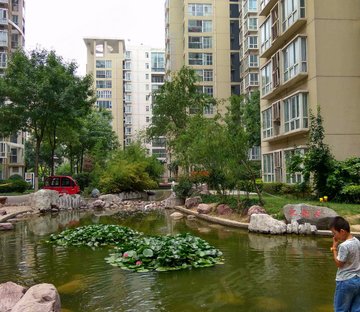 鑫苑中央花园(西区)