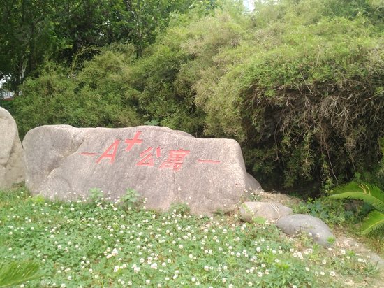 斜杠空间创业园 