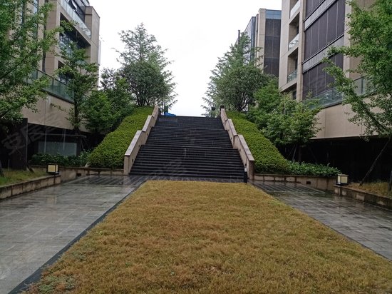 浙大网新银湖科技园 