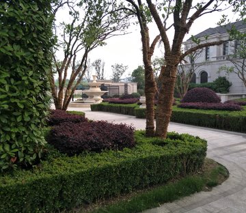 蠡湖香樟园(A区)