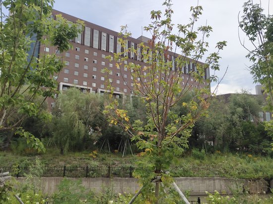 吉林动漫游戏原创产业园 