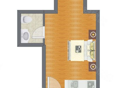 1室0厅 46.00平米户型图