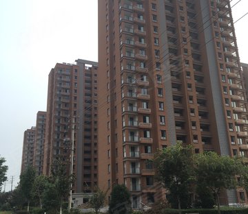 南方绿邸