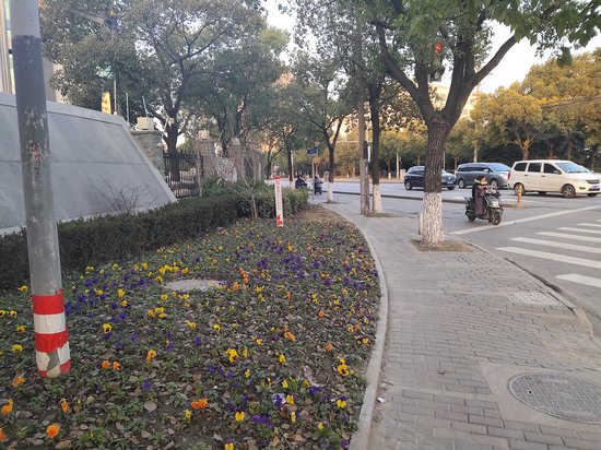 上海宝山城市工业园区(丰翔路) 