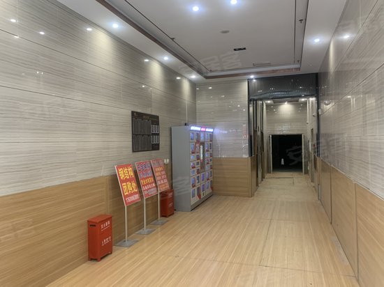 新合鑫紫荆之星 