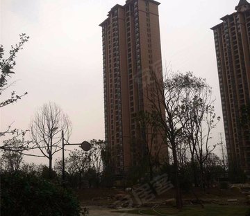 雅居乐滨江国际二期