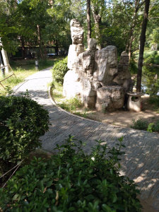 圖片