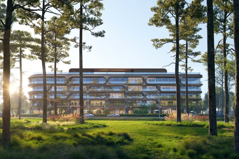 楊林大道 KING AVENUE4室2廳4衛(wèi)271㎡南北2412萬