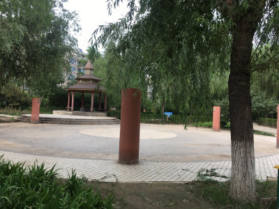 圖片