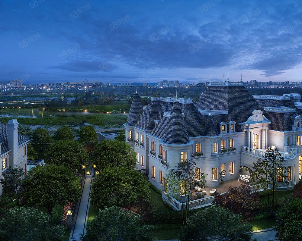 【中洲琥珀屿, 中洲琥珀屿小区详情,房价走势,房源,业主论坛】- 成都