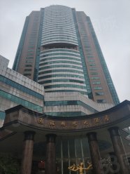 通程国际大酒店查看楼盘 