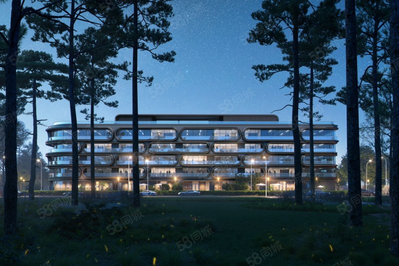 楊林大道 KING AVENUE4室2廳4衛(wèi)271㎡南北2412萬