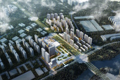 【金地·宝龙·新城湖城大境房价走势,金地·宝龙·新城湖城大境房屋