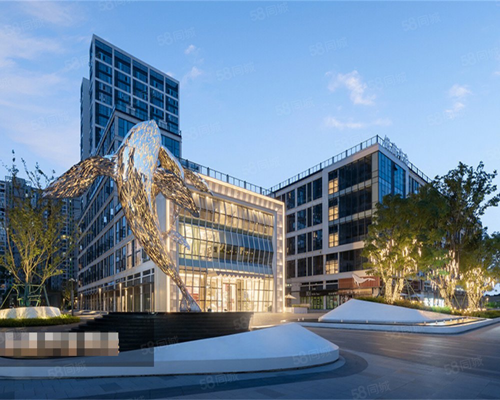 龙湖紫都城新房