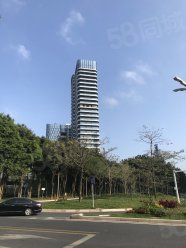 (出租) 侨城北地铁口 ,租物业反拥,金迪世纪大厦现场招商 看海