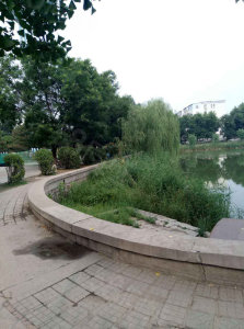 圖片