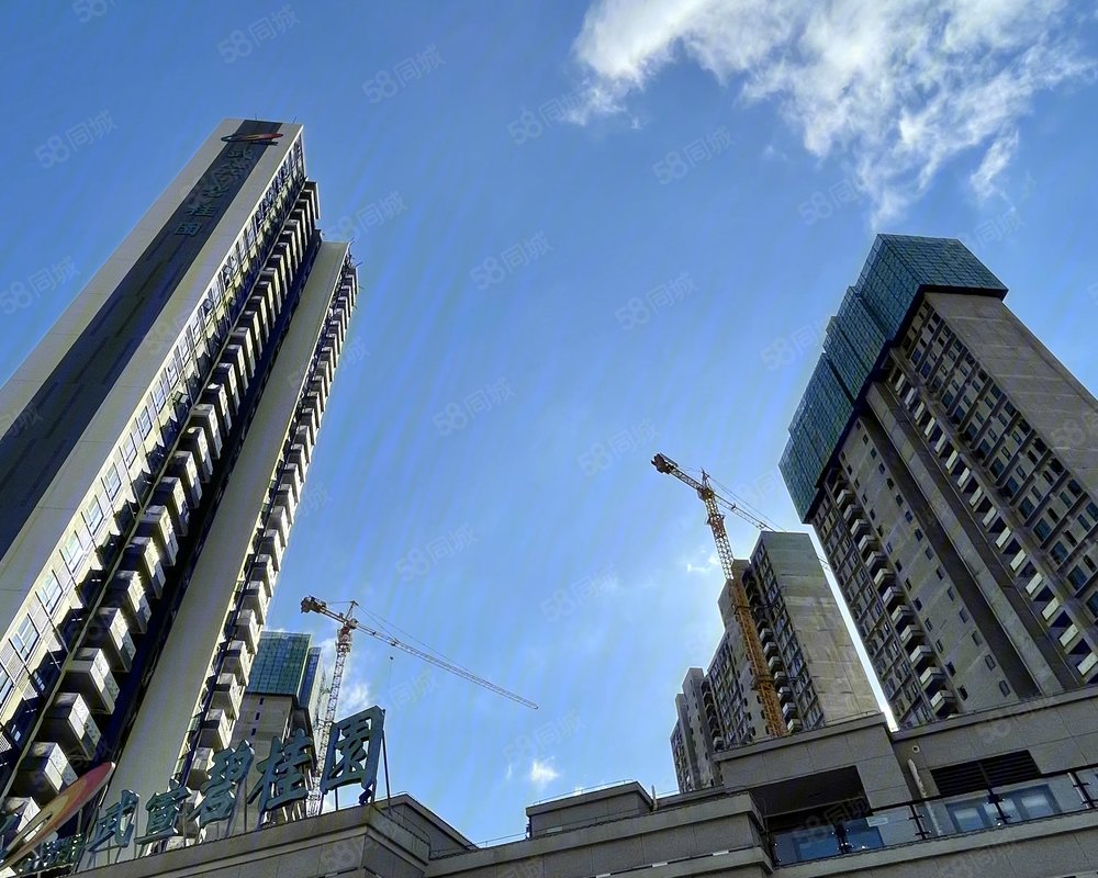 武宣碧桂园新房