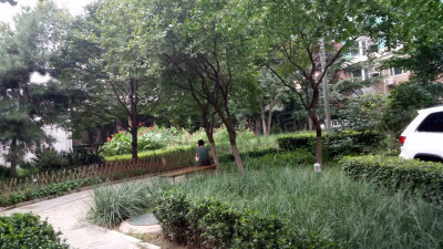 圖片