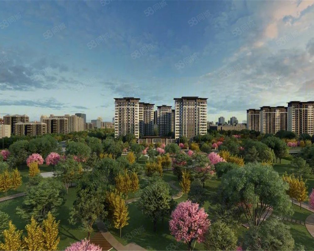 建业大城小院新房