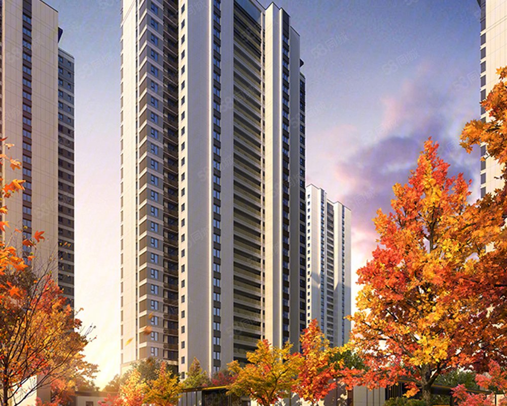 金地湖城风华新房