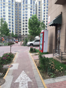 圖片