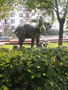 圖片