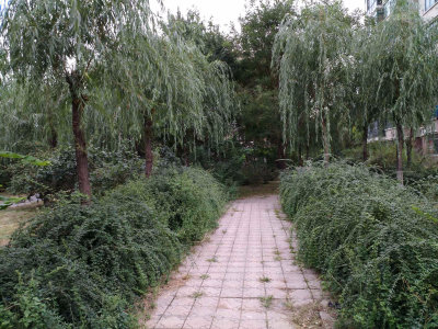 圖片